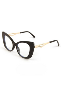 Glossy Black Frame With White Trim