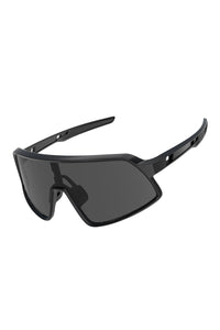 Black Frame Black Gray Lens (HD Polarized)