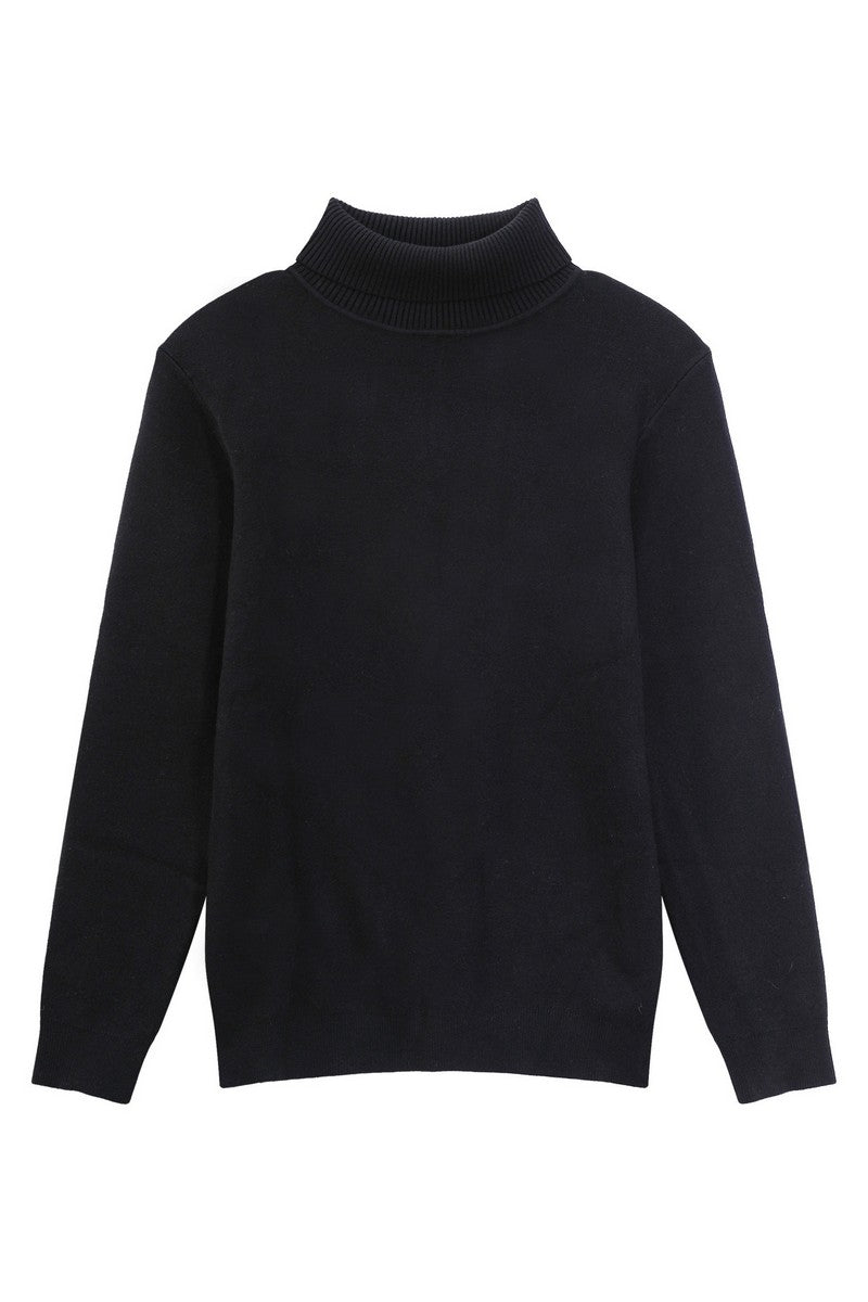 Tencel Cashmere Fitted Turtleneck Sweater