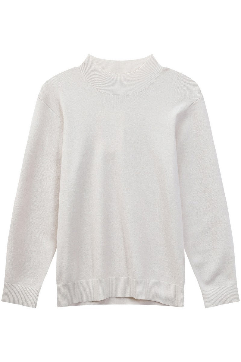 Modal Blend Fitted Turtleneck Sweater