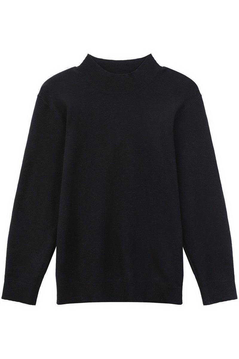 Modal Blend Fitted Turtleneck Sweater