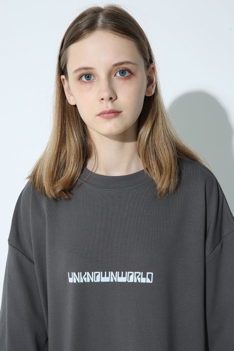 Unknown World Logo Basic Tee